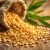 Siemię lniane – superfood, które wspiera zdrowie i dietę