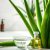 Aloes w pielęgnacji: jak nawilża skórę i włosy bez wysuszenia?